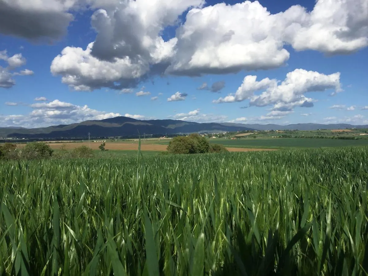 Agriturismo San Francesco Cortona Italy