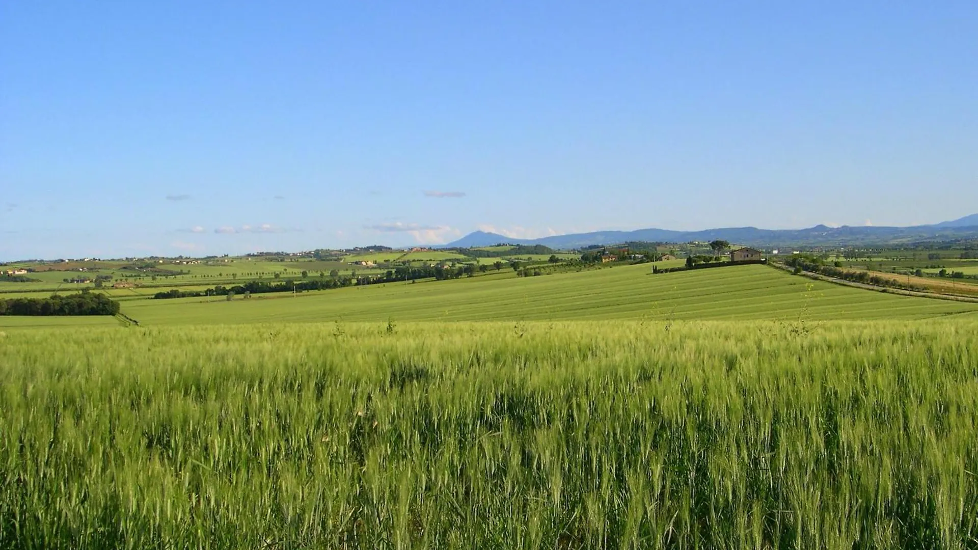 Farm stay Agriturismo San Francesco Cortona