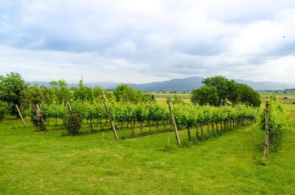 Farm stay Agriturismo San Francesco Cortona Italy